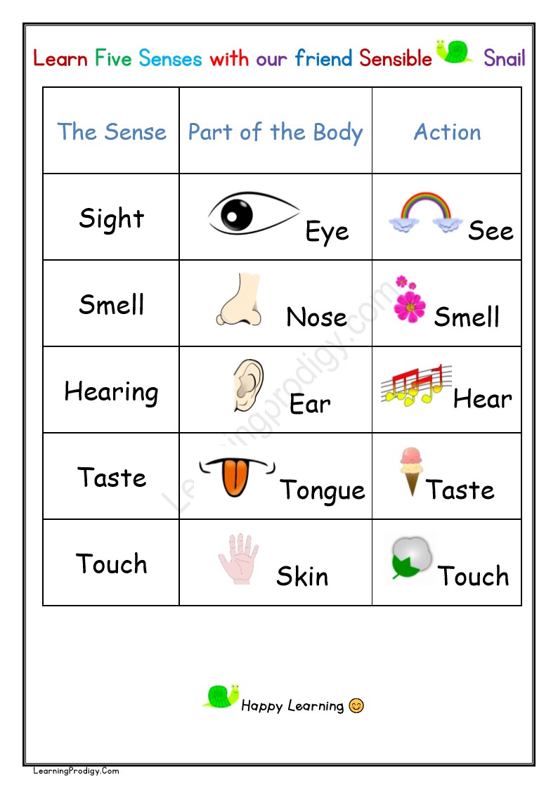 Free Printable Senses Organ Chart For Preschoolers | Nursery Kids