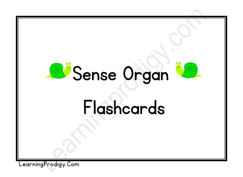 Free Printable Sense Organ Flashcards For Preschoolers | Nursery Flashcards