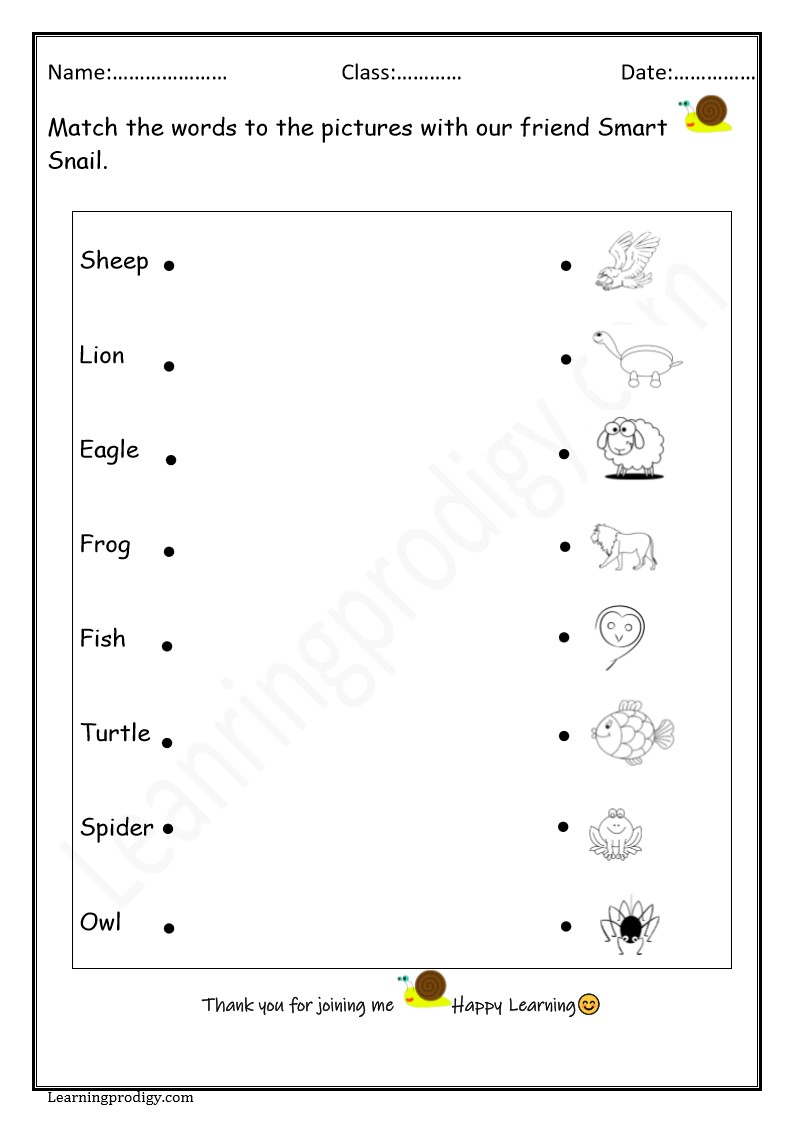 Free English Match the Words to Pictures Worksheet