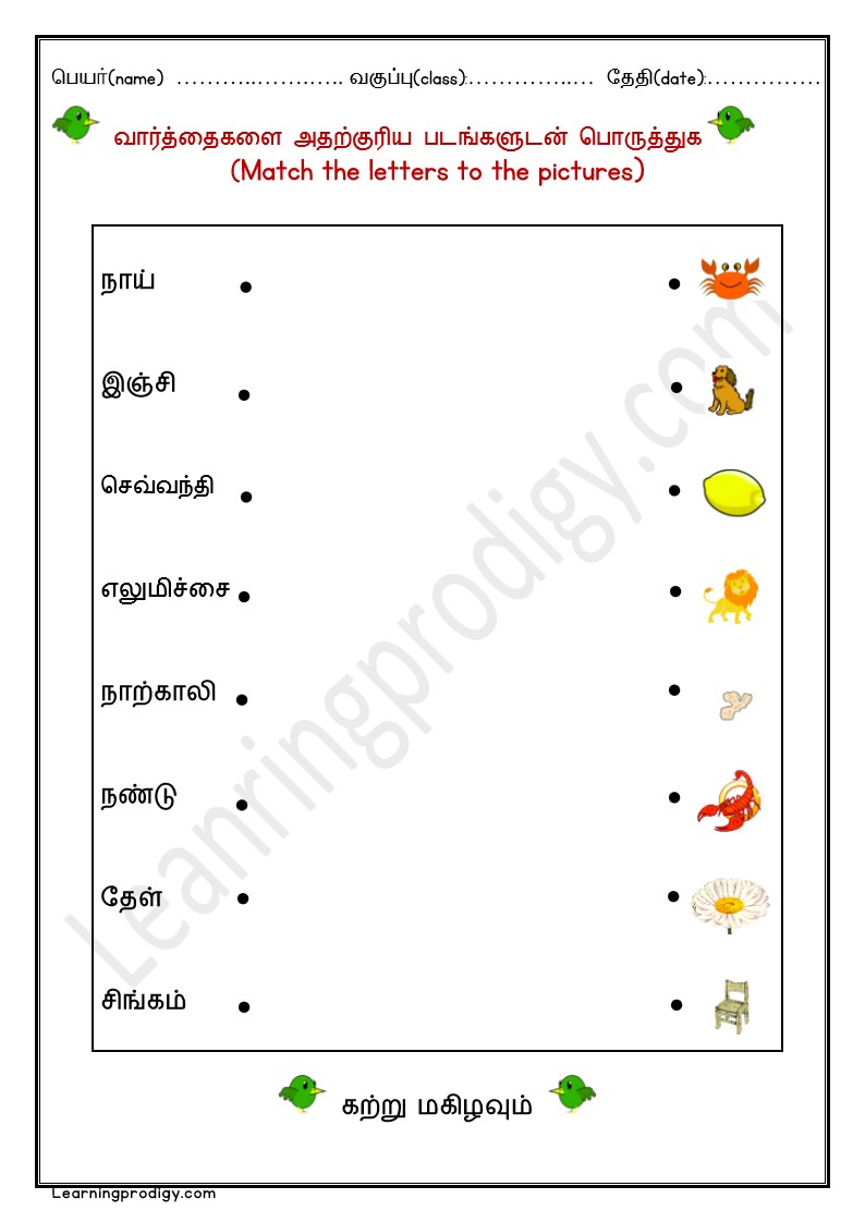 Free PDF Tamil Matching Worksheet for Tamil Students | வார்த்தைகளை அதற்குரிய படங்களுடன் பொருத்துக