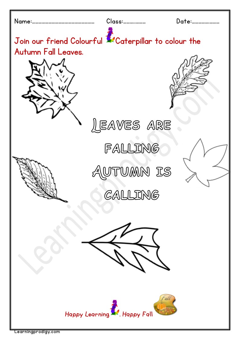 Free Printable Autumn Fall Leaves for Kindergarten Kids
